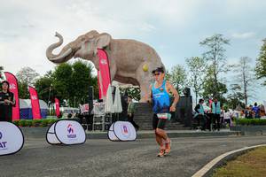 BIB: 
                            <button type="button" onclick="openModal(26529048)" class="btn btn-primary btn-sm float-right btn-popup" data-toggle="modal" data-target=".modal-high-quality">
                        <i class="fas fa-shopping-cart"></i> Add to Cart
                    </button>
                                            <button type="button" onclick="isThisMe(26529048, true)" class="btn btn-success btn-sm float-right btn-popup btn-isme hidden" data-toggle="tooltip" data-placement="bottom" title="นี่คือรูปของคุณใช่ไหม คลิกที่นี่เพื่อเอาเข้าอัลบั้ม">
                        <i class="fas fa-plus"></i> Add to album
                    </button>
                    <button type="button" onclick="isThisMe(26529048, false)" class="btn btn-warning btn-sm float-right btn-popup btn-isnotme hidden">
                        <i class="fas fa-ban"></i> Remove from album
                    </button>